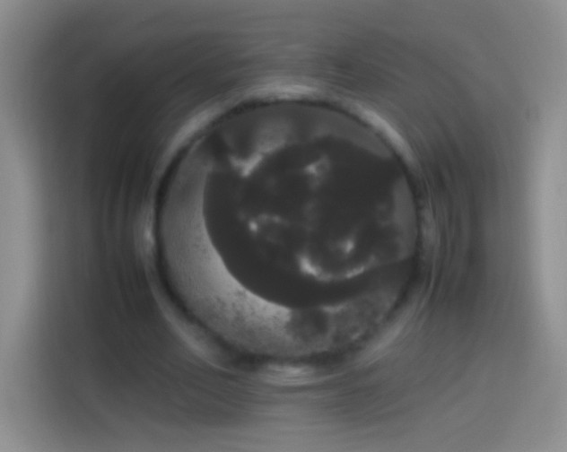 X0000113850582200910011002