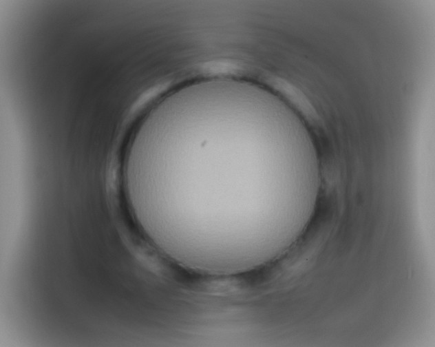 X0000113850583200910011002