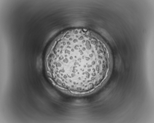 X0000113850584200910011002