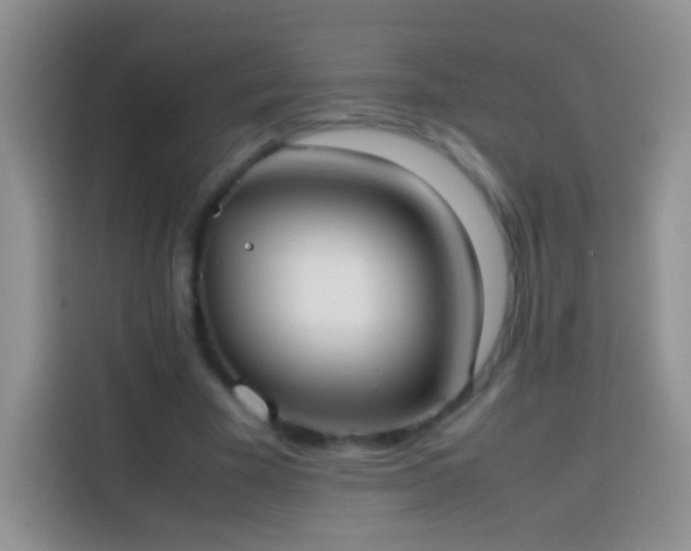 X0000113850585200910011002