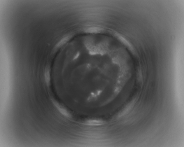 X0000113850586200910011002