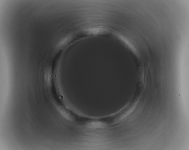 X0000113850590200910011002