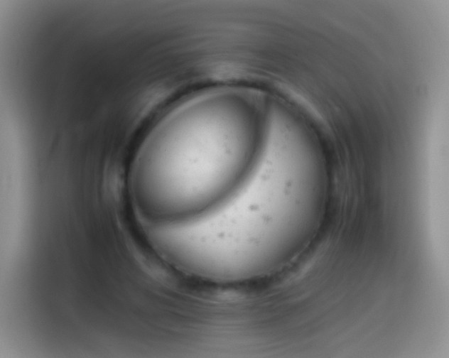 X0000113850592200910011002