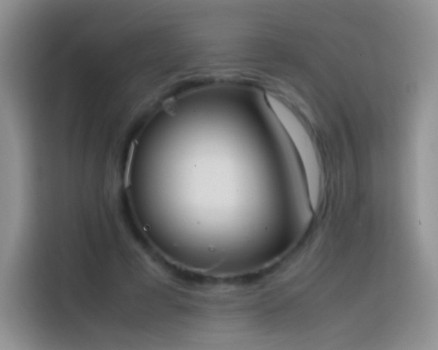 X0000113850593200910011002