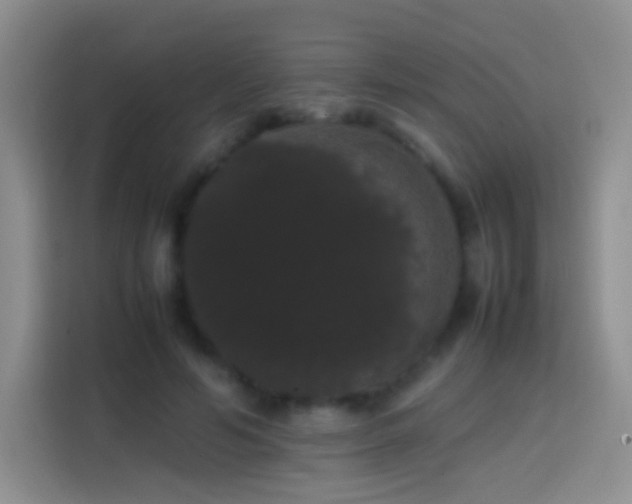 X0000113850594200910011002