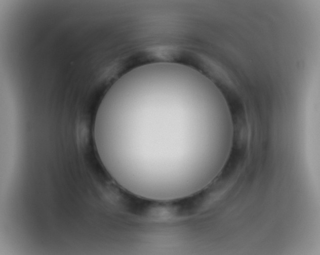 X0000113850595200910011002