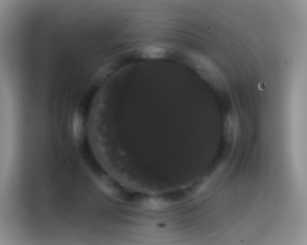 X0000113850598200910011002