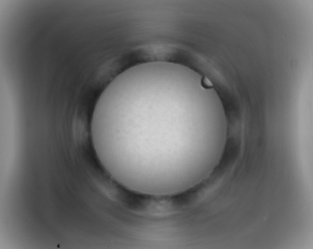 X0000113850599200910011002