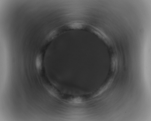 X0000113850600200910011002