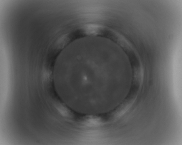 X0000113850601200910011002