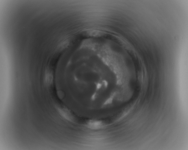 X0000113850602200910011002