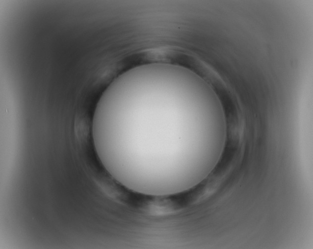 X0000113850603200910011002