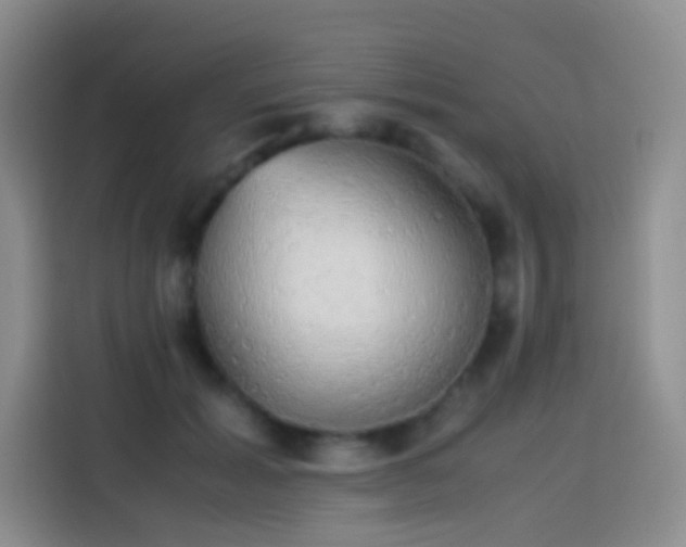 X0000113850605200910011002