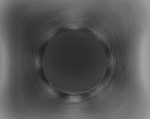 X0000113850606200910011002