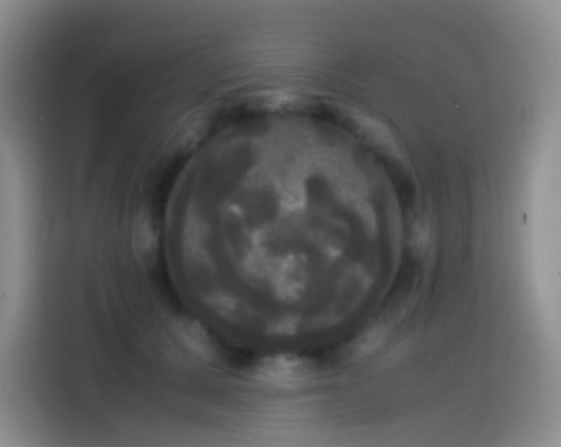 X0000113850607200910011002