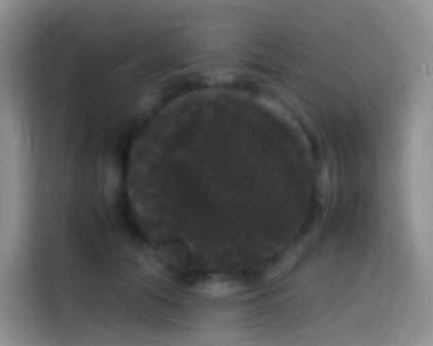 X0000113850608200910011002