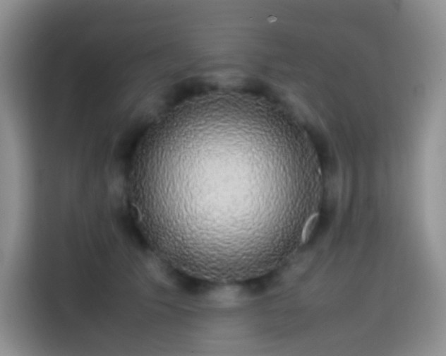 X0000113850609200910011002