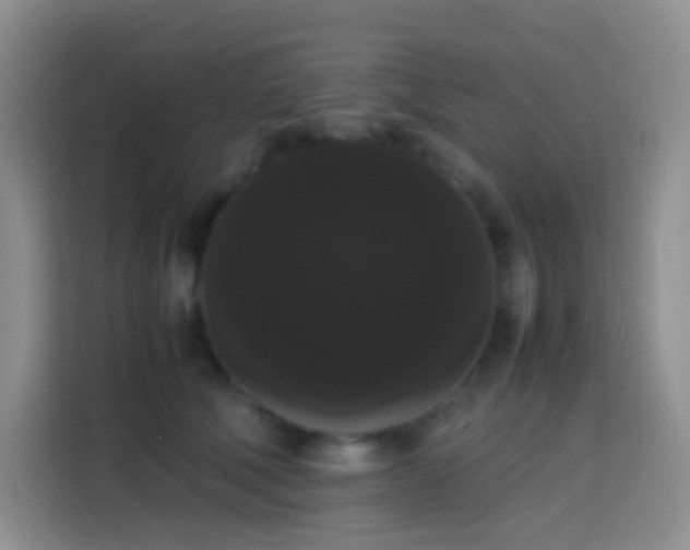 X0000113850610200910011002