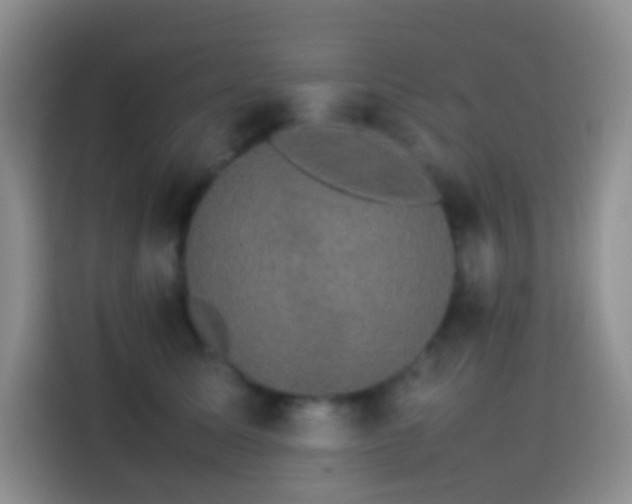 X0000113850611200910011002