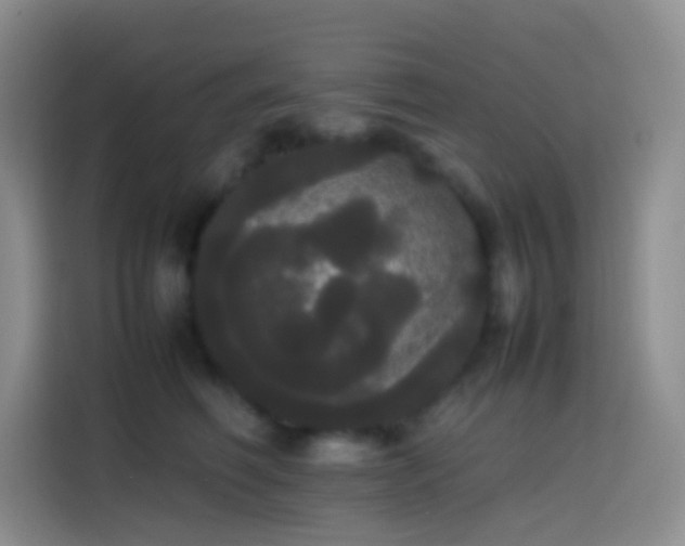 X0000113850614200910011002