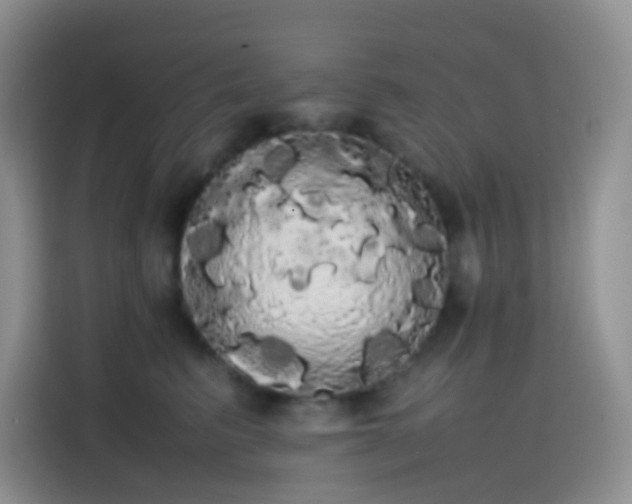 X0000113850615200910011002