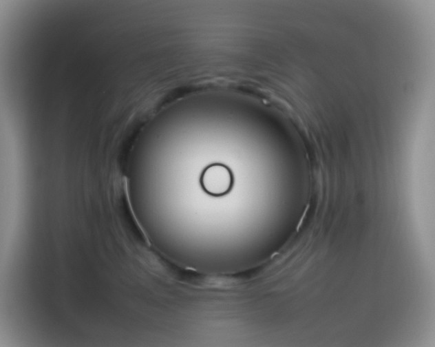 X0000113850617200910011002