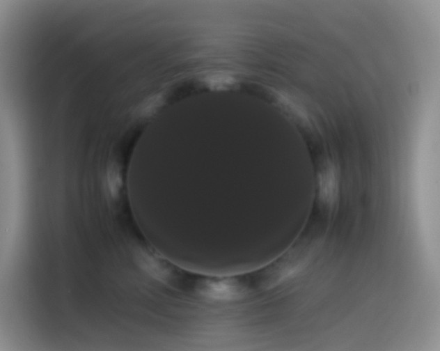 X0000113850618200910011002