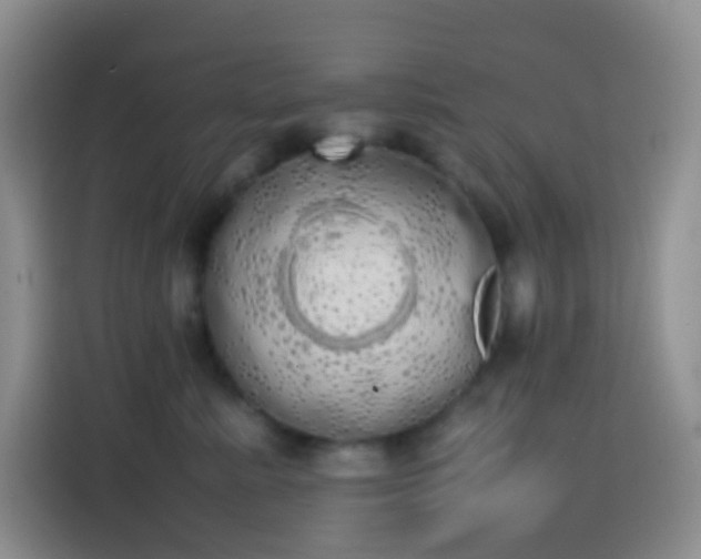 X0000113850619200910011002