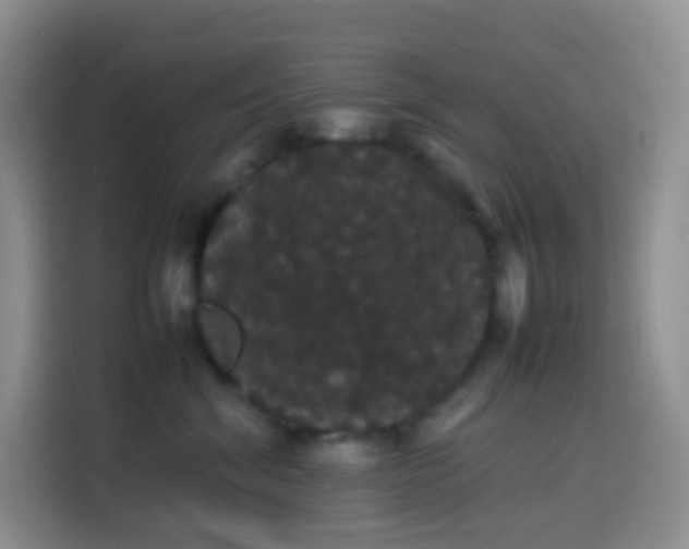 X0000113850620200910011002