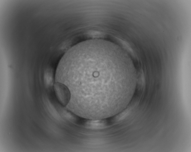 X0000113850622200910011002