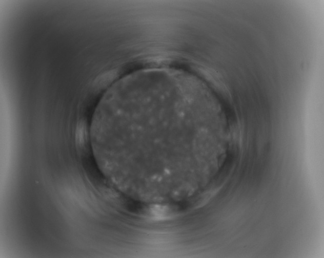 X0000113850623200910011002