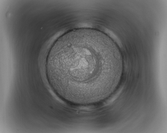 X0000113850625200910011001