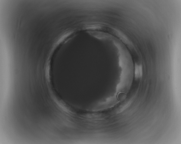 X0000113850627200910011001