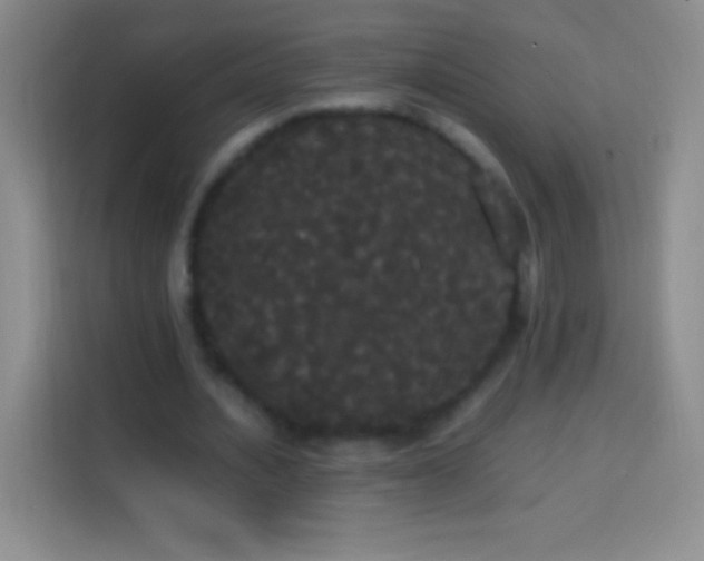 X0000113850628200910011001