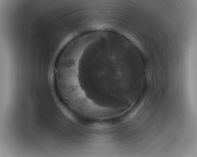 X0000113850630200910011001