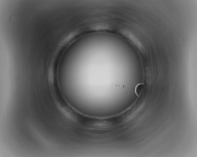 X0000113850631200910011001