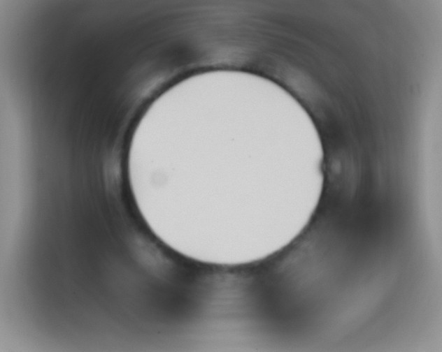 X0000113850632200910011001