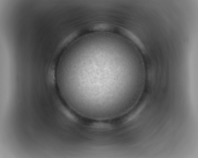 X0000113850633200910011001