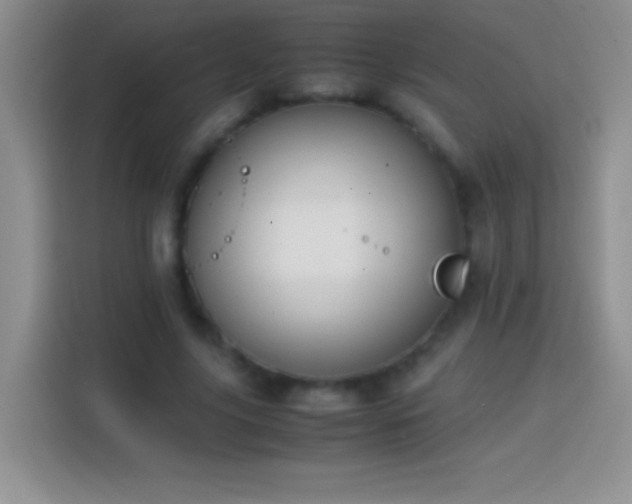 X0000113850635200910011001