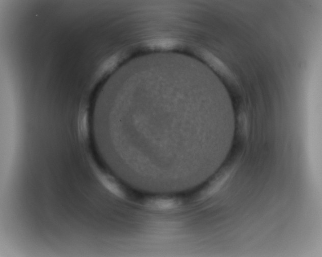 X0000113850638200910011001