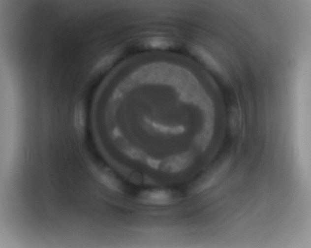 X0000113850639200910011001