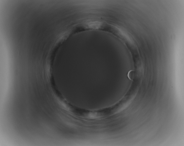 X0000113850641200910011001