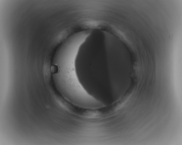 X0000113850642200910011001