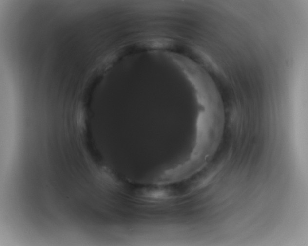 X0000113850643200910011001