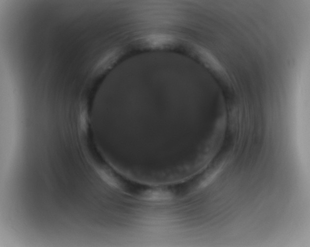 X0000113850644200910011001