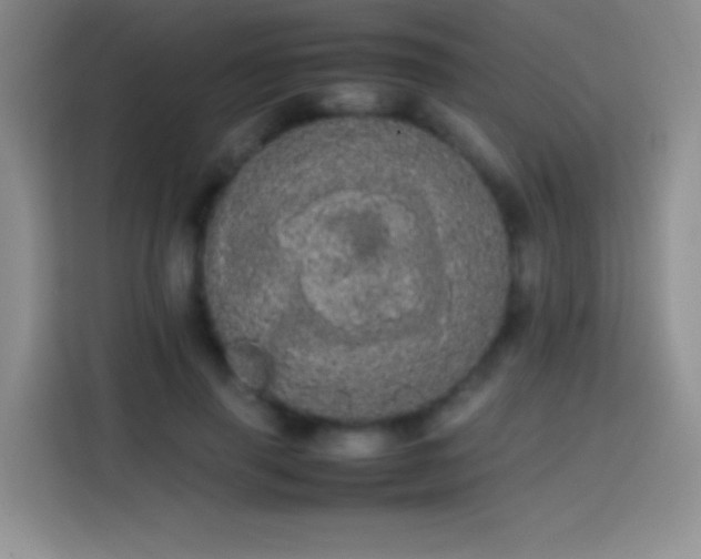 X0000113850645200910011002