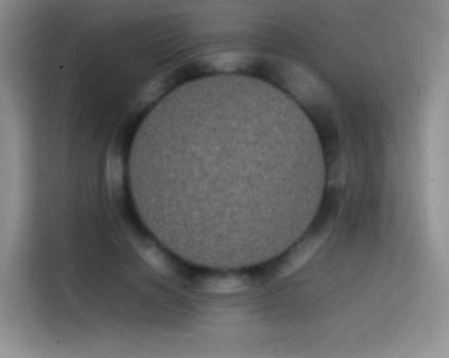 X0000113850646200910011002