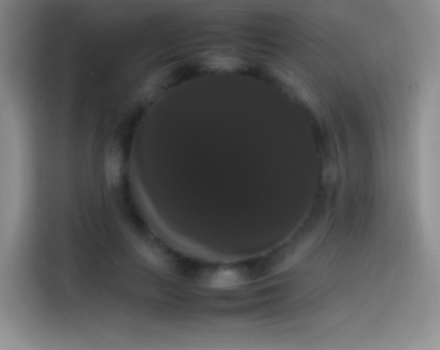 X0000113850647200910011002