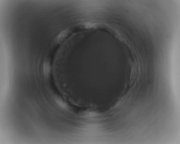 X0000113850648200910011002