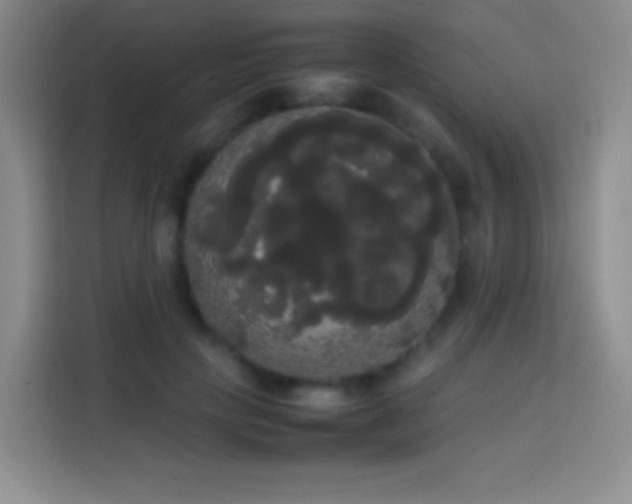 X0000113850649200910011002